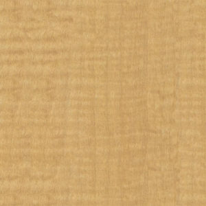Formica African Limba